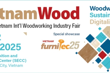 httpsluoicuanhatdongacomtin-tuc